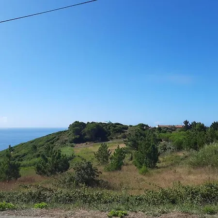 Sunflower Sea View With Magnificent Terrace In Serra Da Pescaria, - Portugal Dom wakacyjny
