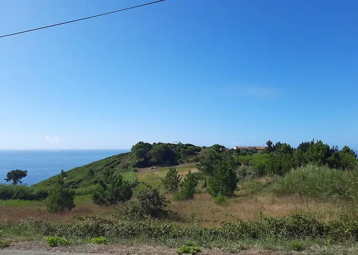 Sunflower Sea View With Magnificent Terrace In Serra Da Pescaria, - Portugal 度假居