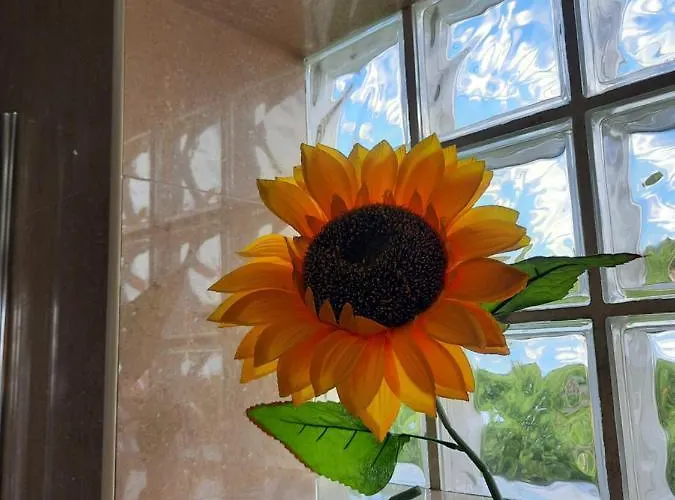 度假居 Sunflower Sea View With Magnificent Terrace In Serra Da Pescaria, - Portugal 纳扎雷