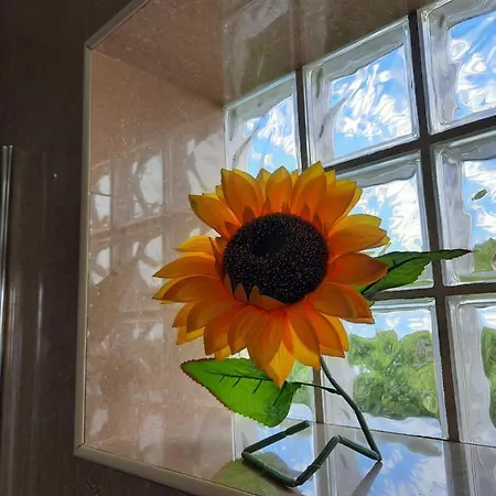 Ferienhaus Sunflower Sea View With Magnificent Terrace In Serra Da Pescaria, - Portugal Nazaré