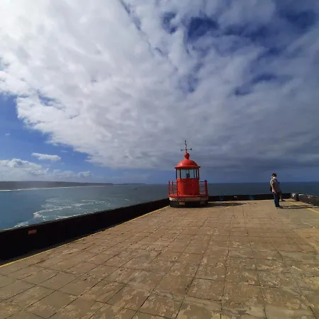 Sunflower Sea View With Magnificent Terrace In Serra Da Pescaria, - Portugal נאזרה