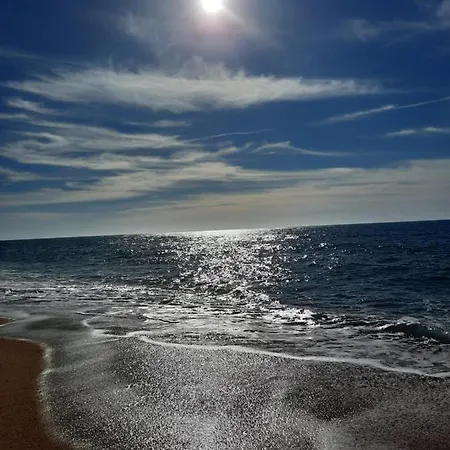 Sunflower Sea View With Magnificent Terrace In Serra Da Pescaria, - Portugal نازاريه
