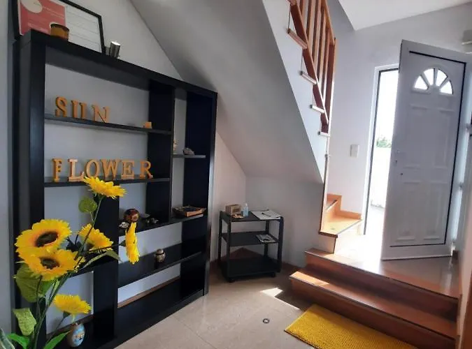 Tatil Evi Sunflower Sea View With Magnificent Terrace In Serra Da Pescaria, - Portugal Nazaré