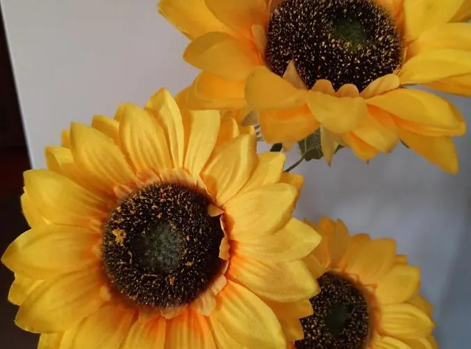 Sunflower Sea View With Magnificent Terrace In Serra Da Pescaria, - Portugal Tatil Evi *